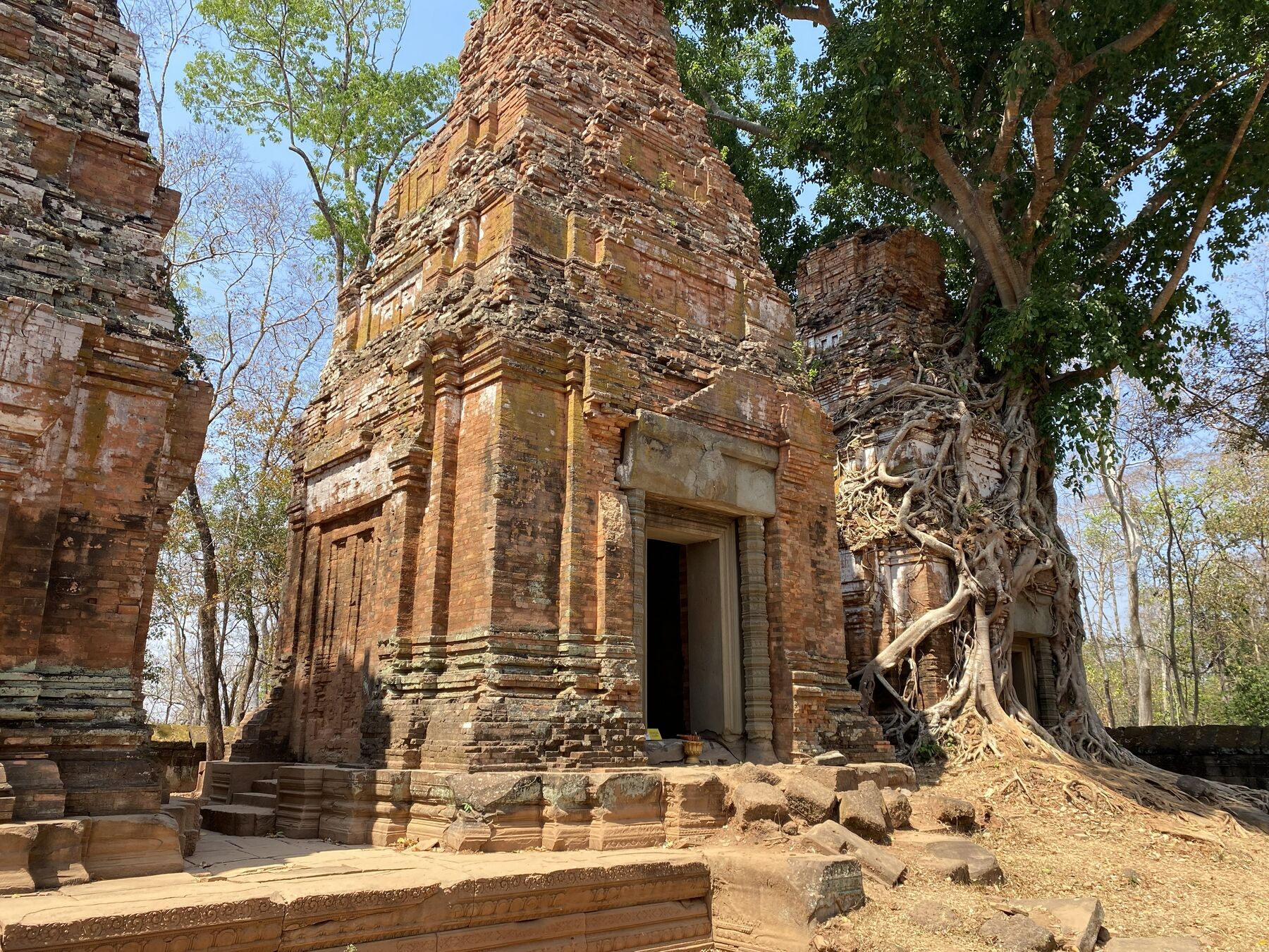 Ancient tree roots growing over a temple tower, Ta Prohm style