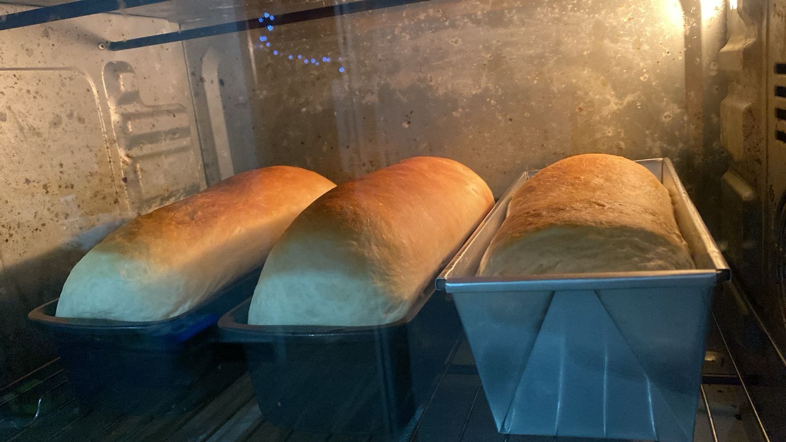 Fresh home-baked bread straight from the oven