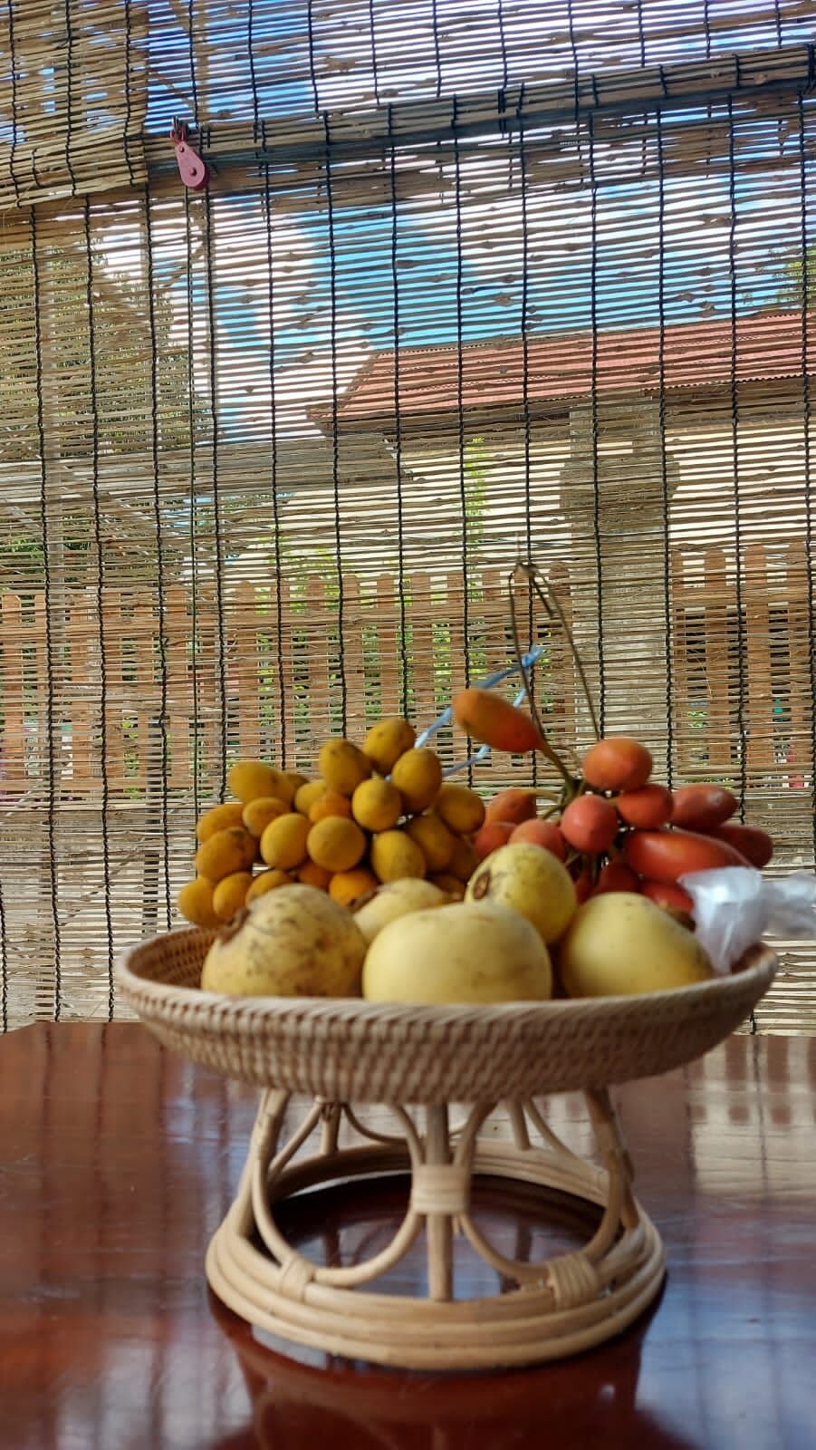 Basket of fresh tropical fruit