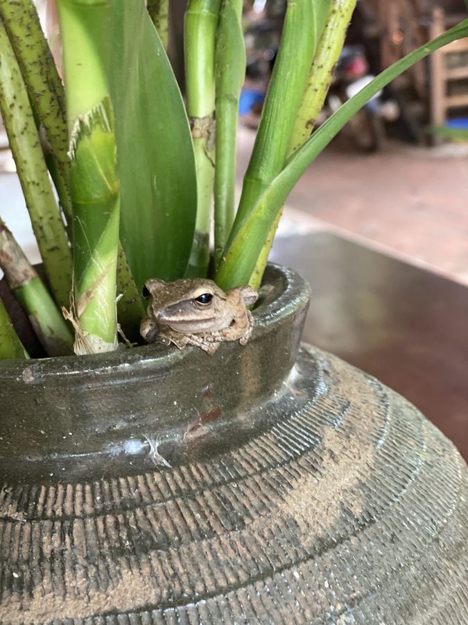 Bloom Garden Bed & Breakfast
