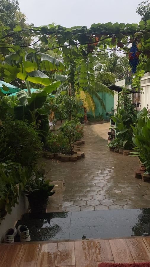 Bloom Garden Bed & Breakfast