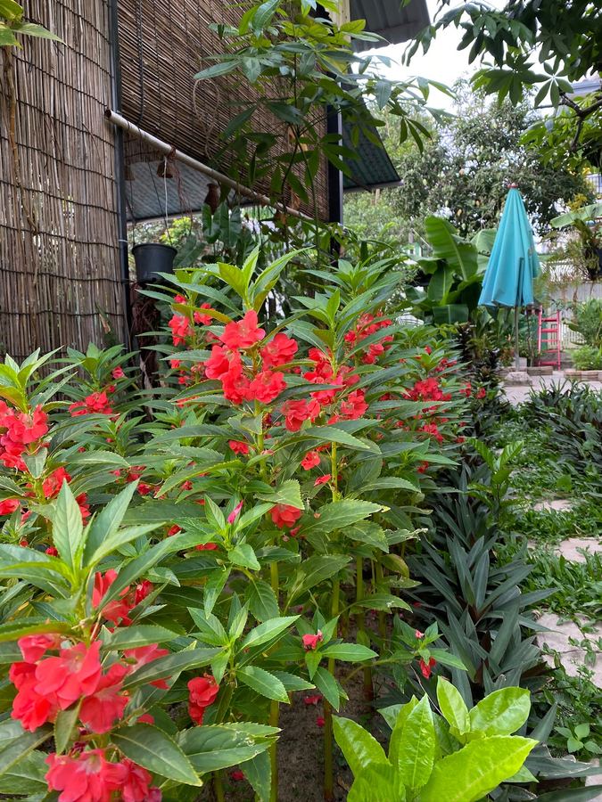 Bloom Garden Bed & Breakfast