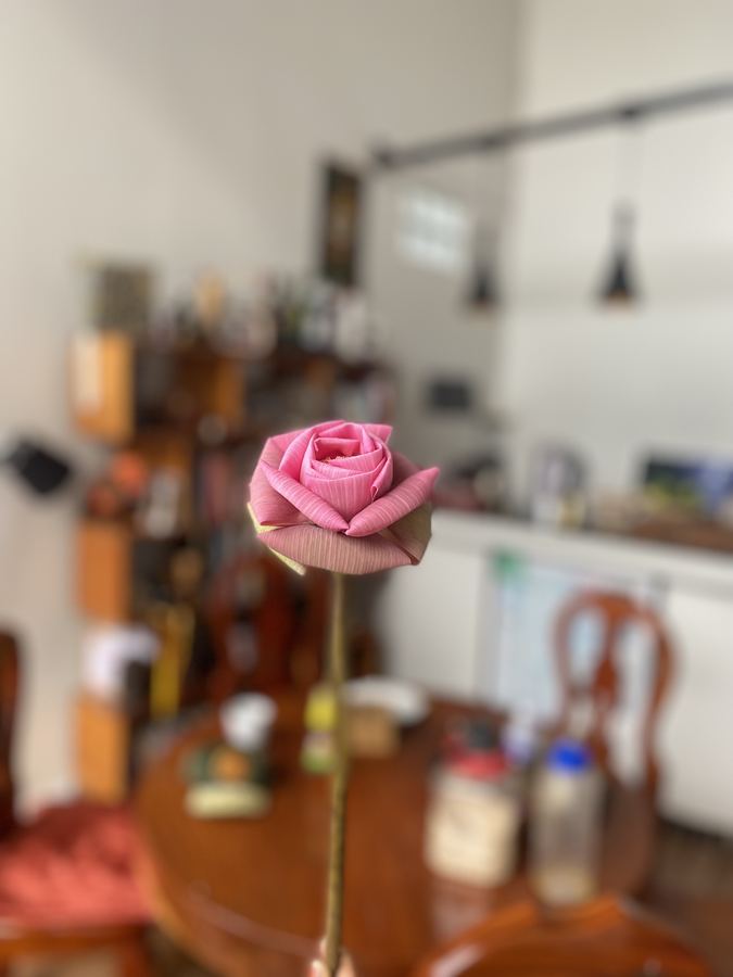 Bloom Garden Bed & Breakfast