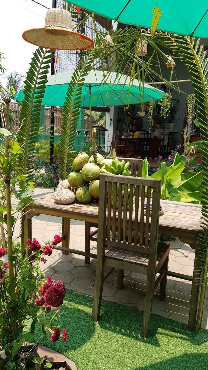 Fresh coconuts and bananas on the garden table
