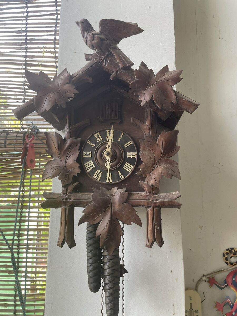 A German cuckoo clock, a souvenir from a Bloom Garden guest
